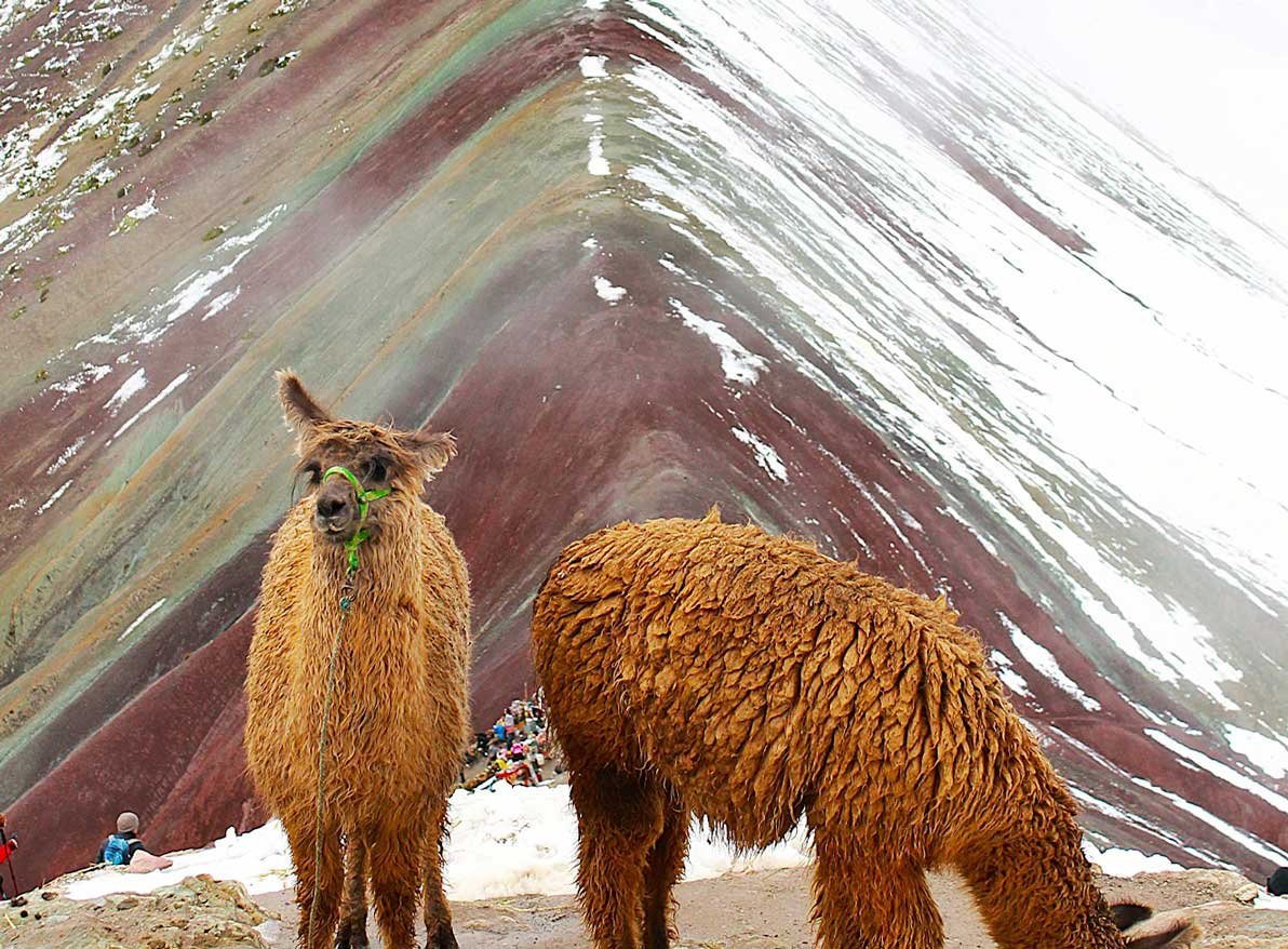 Montaña de 7 Colores imagen 5